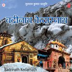 Badrinath Kedarnath - Shailendra Bhartti Song Download